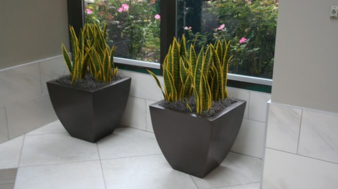 Recycled expanded polystyrene void fill for planters