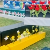 Jumps and Displays at Horse Jumping Competition