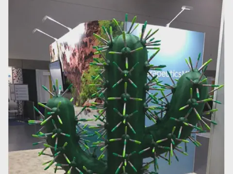 Cactus Prop Using Foam