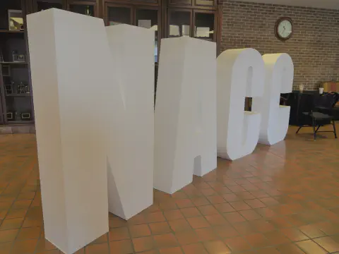 Large College Abbreviation Foam Letters