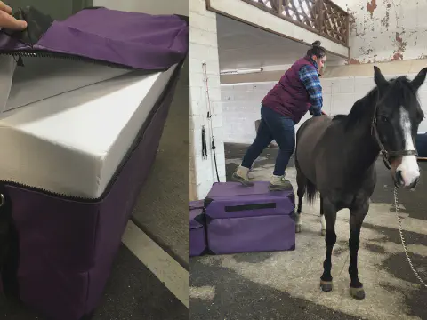 Veterinarians Used EPS Foam Blocks to Stand on When Examining Farm Animals